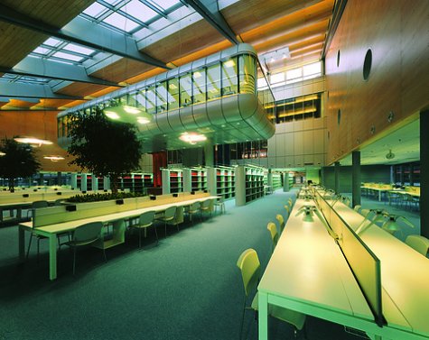 Takto vypadá knihovna Univerzitního kampusu Masarykovy univerzity.