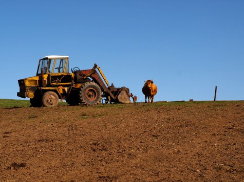 V zemědělství je v letních měsících dostatek práce