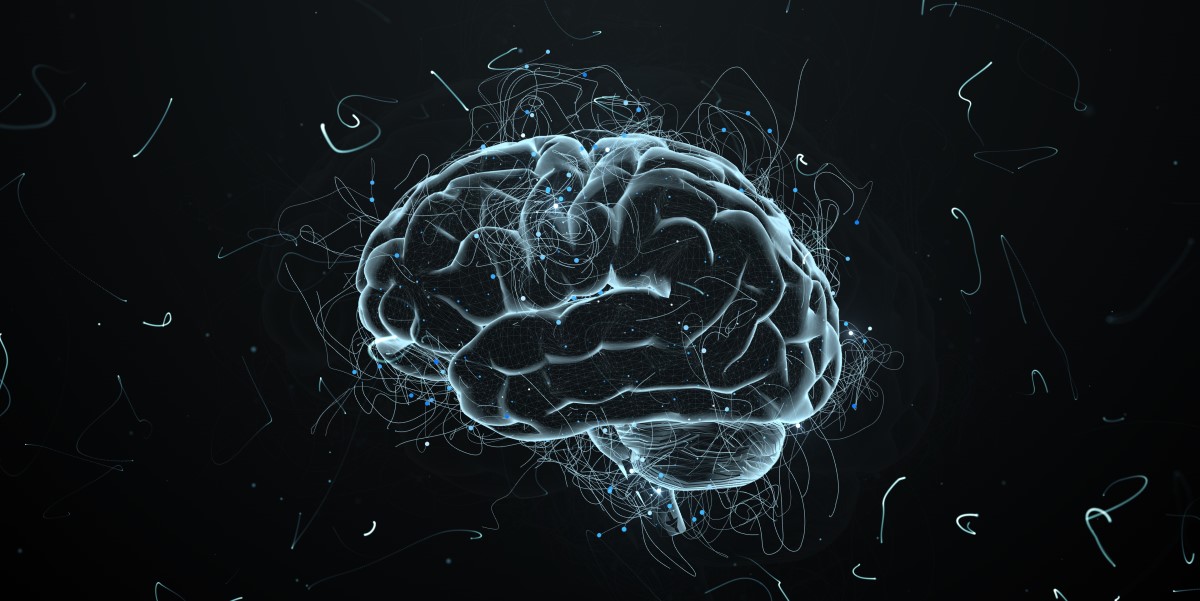 výzkum lidského mozku